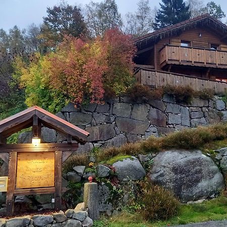 Chalet Typique Vosgien "Les Barbotines" Ventron Exterior photo